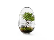 Produktbild Grow Greenhouse L