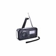 DAB+ Hand Crank Radio