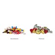 Sorter